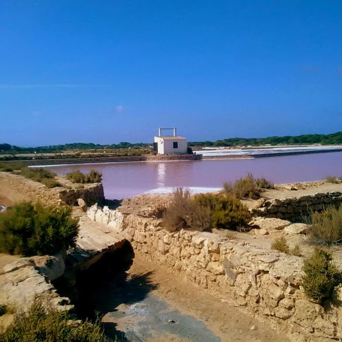 Salinen Formentera Salzgewinnung Es Moli Salzsee UNESCO Seegraswiese