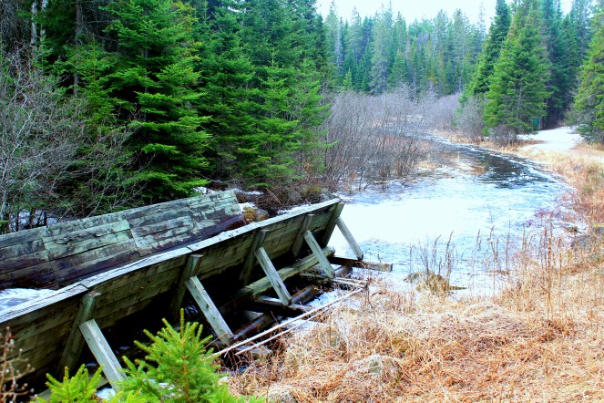 Holzstämme wurden hier transportiert auf dem Oxtongue River Algonquin Park, Ontario Canada